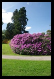 Crathes Castle -29-05-2014 - Bogdan Balaban